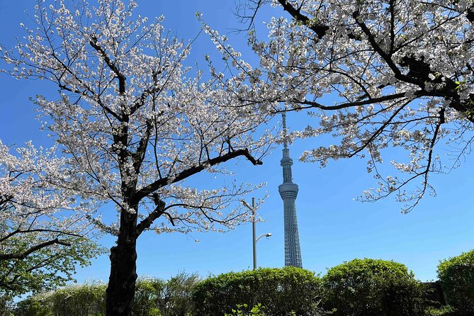 Private Custom Tour in Tokyo with a Bilingual Japanese Guide - Key highlights you’ll actually feel during the day