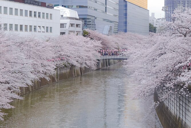 Private Custom Tour: Tokyo in a Day - Stop 5: Harajuku and Takeshita Street for trend-city contrasts