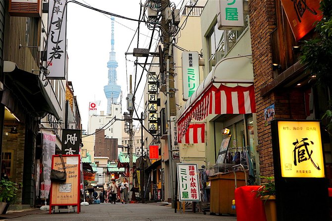 Private Customizable Walking Tour of Tokyo - Shinjuku neon views, then Asakusa’s old-town atmosphere
