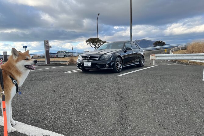 Private Daikoku Parking Area, Hakone turn Pike, Umihotaru Tours - Why this Daikoku + Hakone Turnpike day works so well