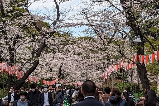 Private Day Tour In Tokyo with a Native English Speaker - Pickup within 7 km of Tokyo Station: convenient, but know the limit