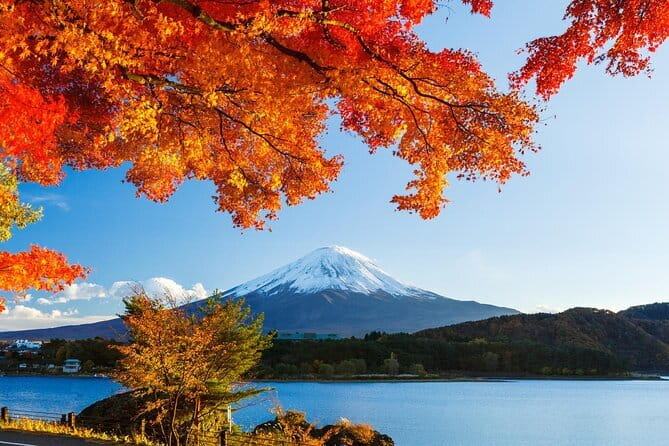 Private Fuji Full-day Car Tour with Hotel Pickup -Local Guide - Sake, beer, and wine stops: tasting without turning lunch into a crisis