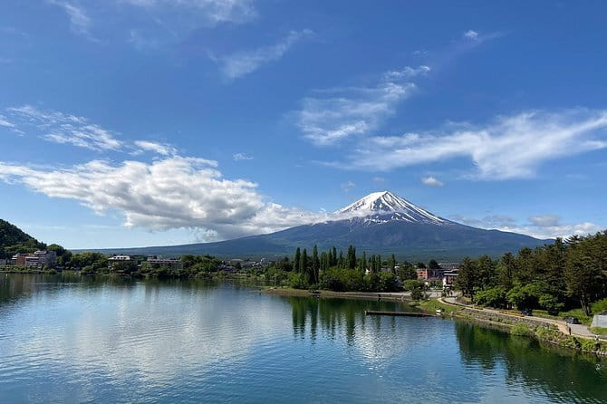 Private Fuji Half-day Car Tour with Hotel Pickup and Local Guide - Ide Sake Brewery: A Taste-Focused Cultural Stop
