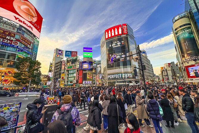 Private Full-day Tokyo Walking Subway Tour by Japan Gray Line - Key points I’d plan around