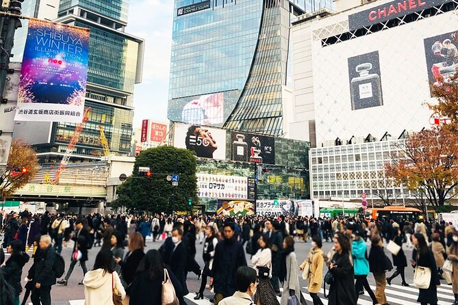 Private Full-day Tokyo Walking Subway Tour by Japan Gray Line - Tokyo Tower Main Deck: the classic skyline view you can actually use