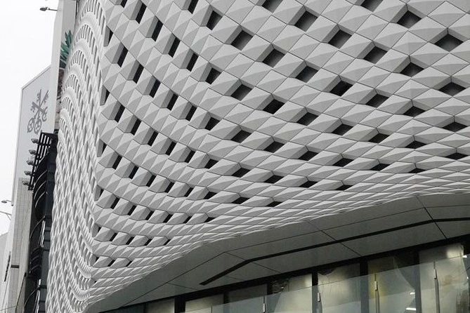Private Ginza Architecture Walking Tour - Who should book this Ginza architecture walking tour