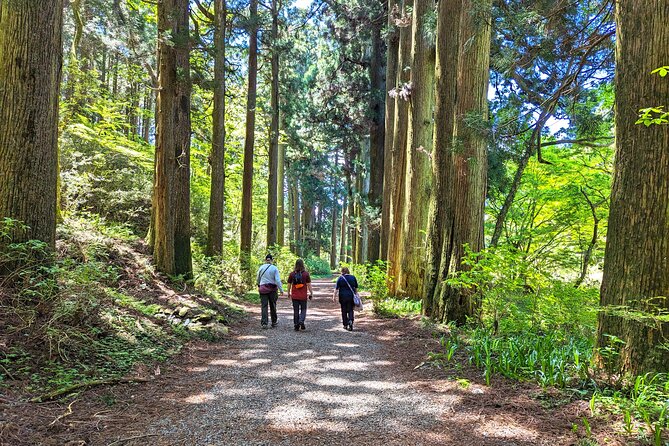 Private Hakone Tour - View of Mt. Fuji, Nature and Culture - Why This Hakone-From-Tokyo Day Feels Easier Than DIY