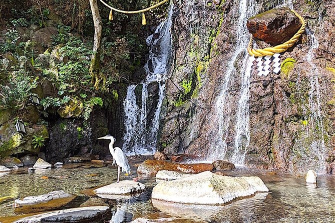 Private Hakone Tour - View of Mt. Fuji, Nature and Culture - Hakone Ropeway and Gora: More Than a Ride, a View Angle Switch