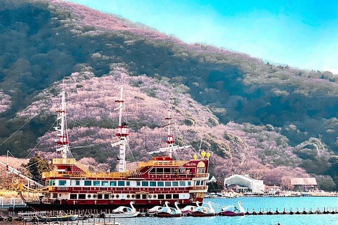 Private Hakone Tour - View of Mt. Fuji, Nature and Culture - Hakone Open-Air Museum or Onsen: Your Choice for the Penultimate Stop