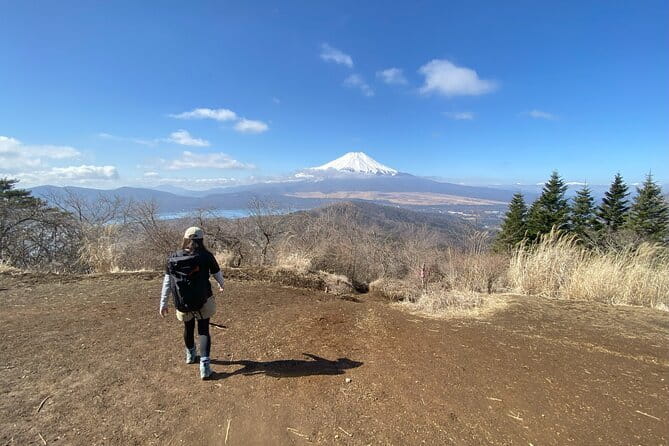 Private Hiking Tour to View Mt. Fuji - The stair start: what more than 400 steps really means