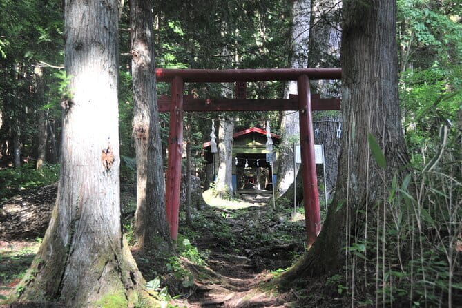 Private Hiking Tour to View Mt. Fuji - Viewpoints that actually change your perspective
