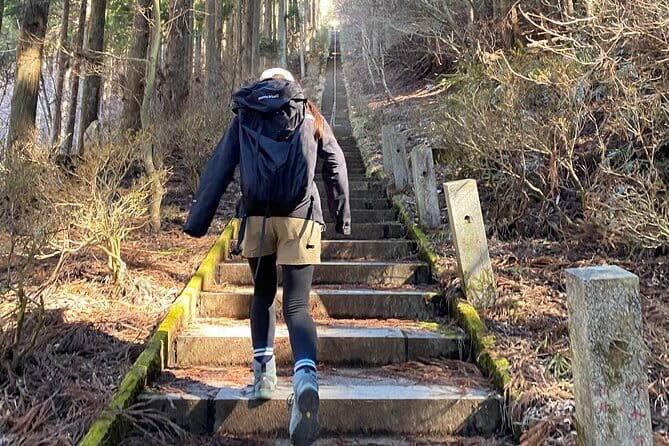 Private Hiking Tour to View Mt. Fuji - Mt. Ishiwari: the part you’ll talk about later