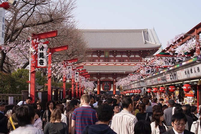Private Japanese Sample Food Making and Asakusa History Tour - Should you book the Japanese sample food and Asakusa history tour?