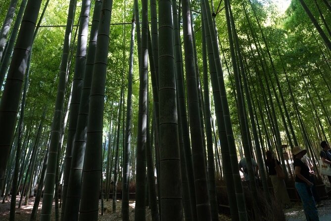 Private Kamakura Early Morning Tour (Tokyo Departure Available) - Tsurugaoka Hachimangū: Shinto shrine with samurai-era roots