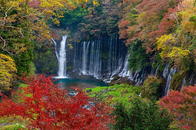 Private Mount Fuji and Hakone City Tour In luxury car from Tokyo - Why this luxury Mt. Fuji and Hakone day works better than DIY