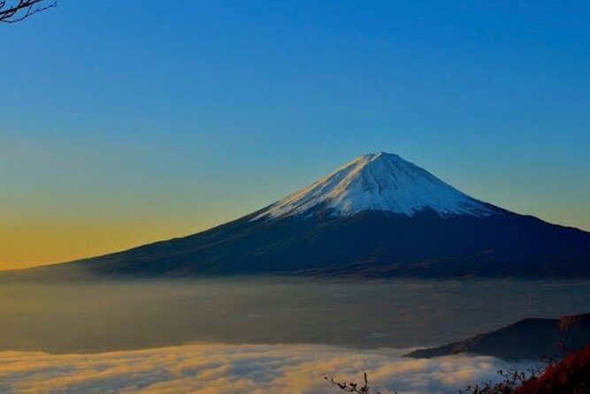 Private Mount Fuji and Hakone City Tour In luxury car from Tokyo - How the 10-hour schedule actually feels