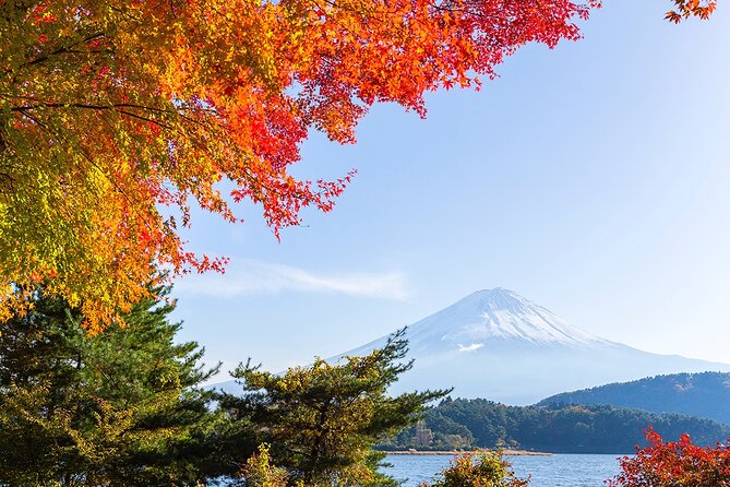 Private Mount Fuji and Hakone City Tour In luxury car from Tokyo - From Tokyo to Shiraito Falls: quick walk, big payoff