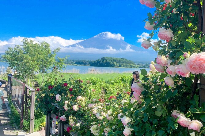 Private Mount Fuji and Hakone sightseeing Day trip with guide - Hakone’s volcanic hit: Owakudani, ropeway time, and Lake Ashi