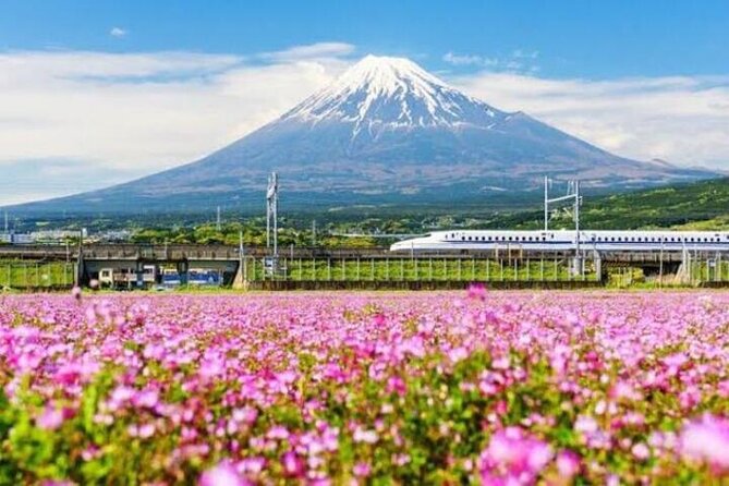 Private Mount Fuji and Hakone sightseeing Day trip with guide - Saiko Iyashi no Sato Nenba: when you want a quieter village feel