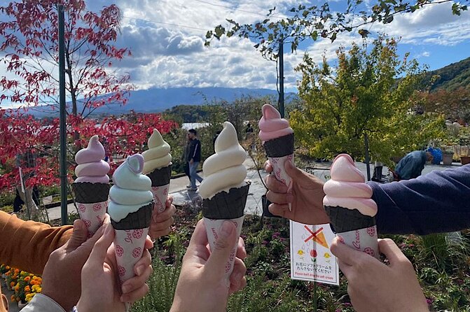 Private Mount Fuji and Hakone sightseeing Day trip with guide - Lunch, pacing, and the reality of a 10-hour schedule