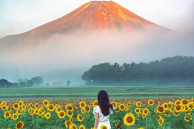 Private Mount Fuji and Hakone sightseeing Day trip with guide - Guide quality: Ali and Goraya were strong, but you should verify expectations