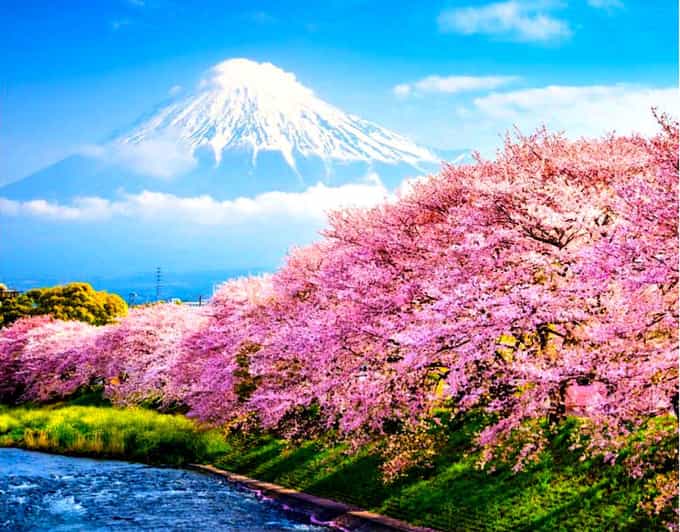Private Mount Fuji sightseeing Day trip with English Guide - Private Van Day Trip: How This Route Actually Saves You Time
