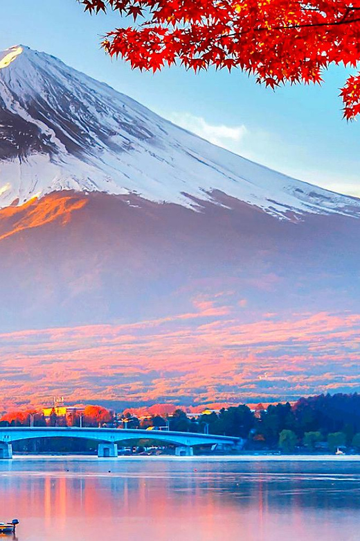 Private Mount Fuji sightseeing Day trip with English Guide - Pickup Options: Starting in Tokyo vs Going Straight to the Fuji Area