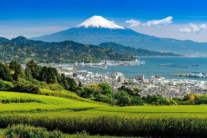 Private Mount Fuji Tour in Luxury Vehicle with English Guide - Oshino Hakkai ponds: Fuji Five Lakes calm (with a famous crowd)