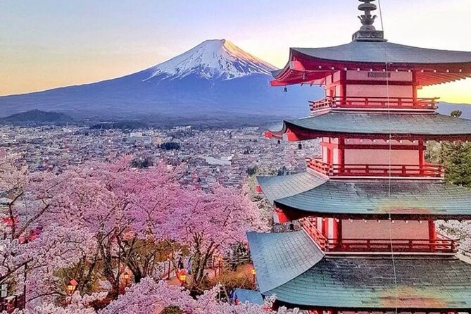 Private Mount Fuji Tour in Luxury Vehicle with English Guide - Oishi Park: flowers by the lake and a steadier pace
