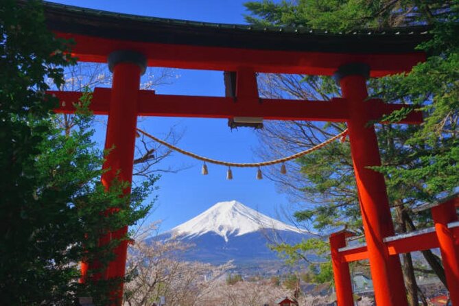 Private Mount Fuji Tour in Luxury Vehicle with English Guide - Shrines, UNESCO vibes, and the blue Lawson photo stop