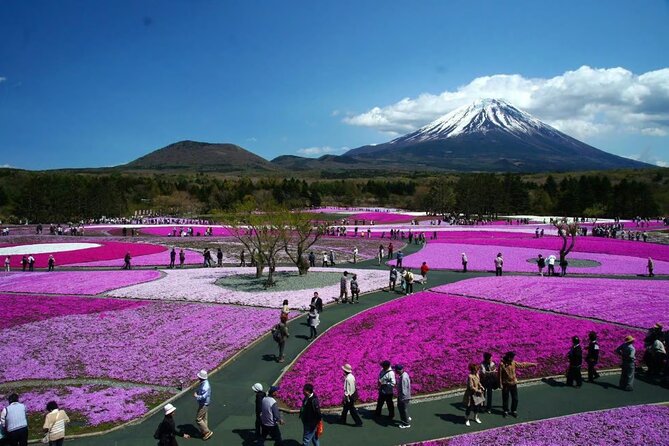 Private Mount Fuji Tour in Luxury Vehicle with English Guide - Timing and traffic: why this tour asks you to be ready early