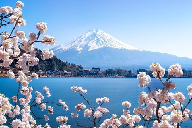 Private Mount Fuji Tours with Car Pickup from Tokyo - Lake Kawaguchiko and Oishi Park: where the Fuji mood changes with the light