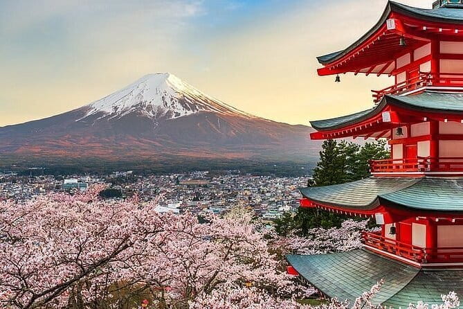 Private Mount Fuji Tours with Car Pickup from Tokyo - Fuji hiking segment: Yoshida trail to 7th station (easy trekking)