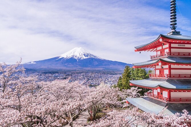 Private Mt. Fuji Custom Tour from Tokyo - A Fuji day that actually fits Tokyo timing