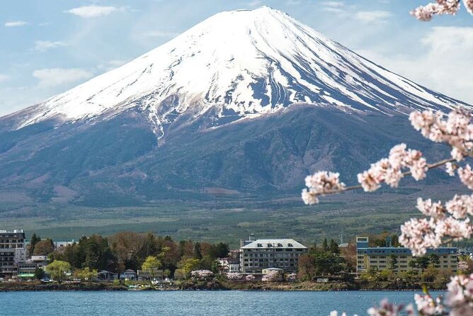 Private Mt. Fuji Custom Tour from Tokyo - Mount Fuji viewpoint (1 hour): set your expectations for the sky