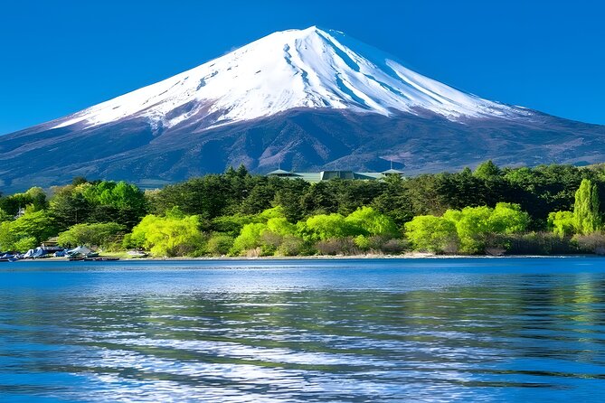 Private Mt. Fuji Day Trip from Tokyo with English-Speaking Driver - Why a private Mt. Fuji day feels different from the usual Tokyo tours