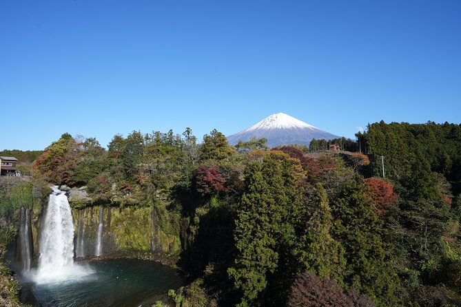 Private Mt. Fuji Day Trip from Tokyo with English-Speaking Driver - Arakura Fuji Sengen Shrine and the Chureito Pagoda view