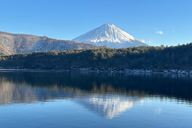 Private Mt. Fuji Day Trip from Tokyo with English-Speaking Driver - Mt. Fuji Panoramic Ropeway (Kachi-Kachi): a great option, but not included