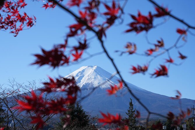 Private Mt. Fuji Day Trip from Tokyo with English-Speaking Driver - Saiko Iyashi no Sato Nenba on Lake Saiko: a slower, more traditional mood