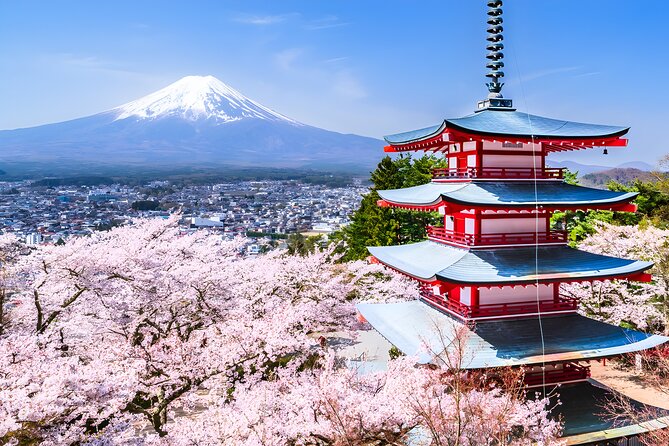 Private Mt. Fuji Day Trip from Tokyo with English-Speaking Driver - Oshino Hakkai: the Fuji water stop that’s quick and memorable