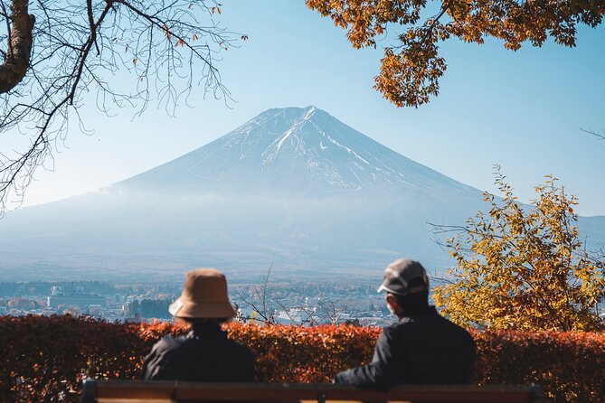 Private Mt Fuji, Hakone and Tokyo Tour - English Speaking Driver - Shinjuku meet-up and the 7:00 am rhythm