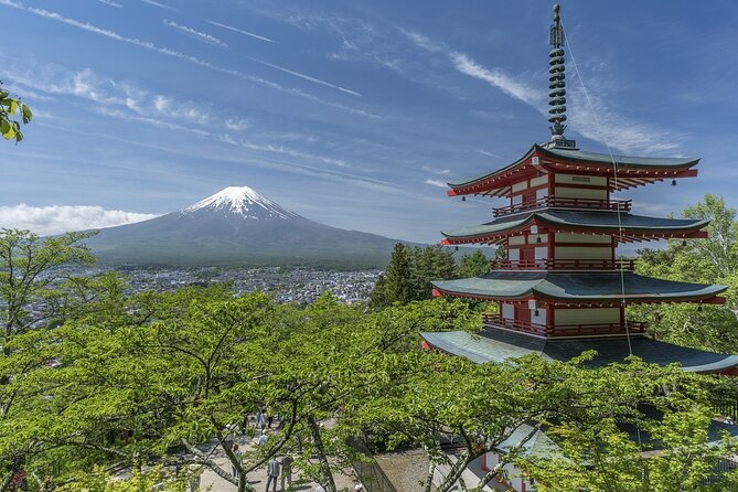 Private Mt Fuji, Hakone and Tokyo Tour - English Speaking Driver - The Mt Fuji Panoramic Ropeway: a vertical boost toward the view deck