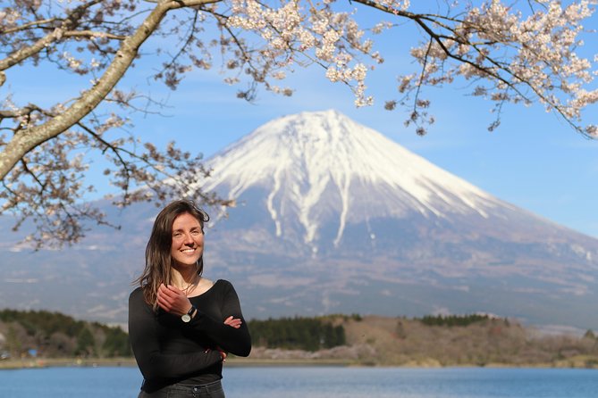 Private Mt Fuji Tour from Tokyo: Scenic BBQ and Hidden Gems - Your private driver experience (and why it matters)