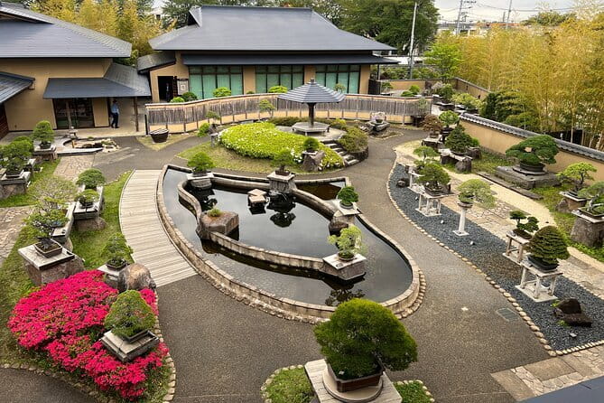 Private Omiya Bonsai Village Tour with Licensed Guide - Key highlights to look for