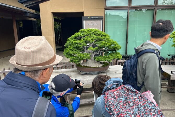 Private Omiya Bonsai Village Tour with Licensed Guide - How the timing works: getting from Tokyo to the village smoothly