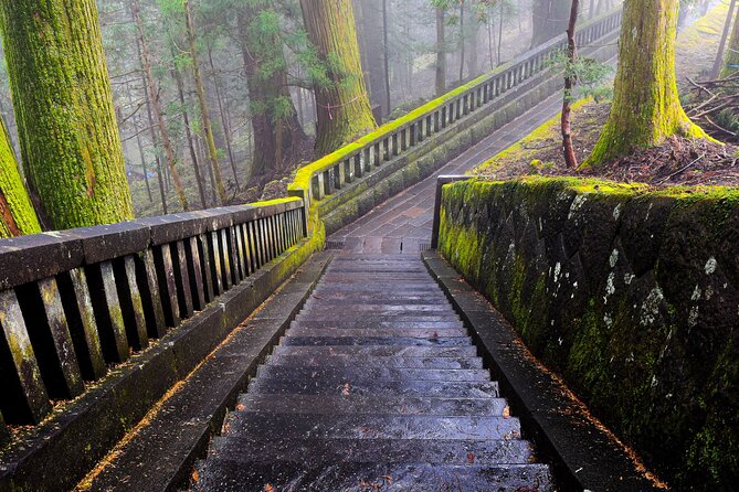 Private Outstanding Nikko Tour with English Speaking Driver - Practical Tips for a Smoother Nikko Day