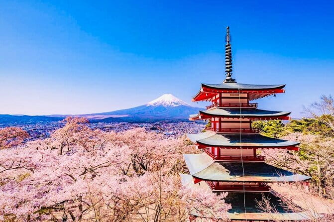 Private Sightseeing to Mt Fuji and Hakone with English Driver - Key highlights that make this tour worth your time