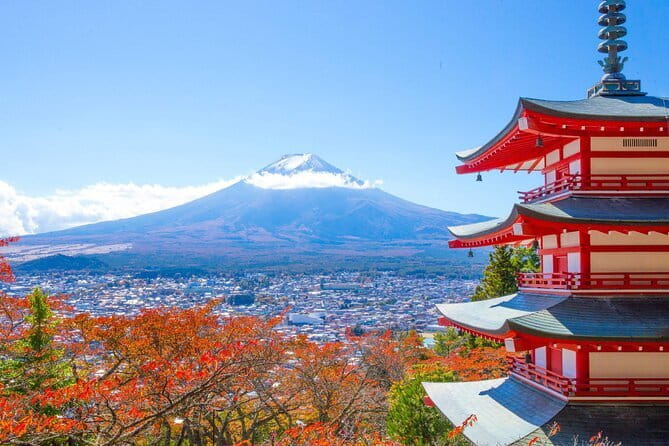 Private Sightseeing to Mt Fuji and Hakone with English Driver - Oishi Park: flower seasons, a 350m walk, and blueberry breaks