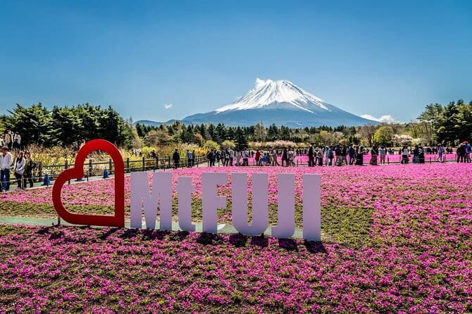 Private Sightseeing to Mt Fuji and Hakone with English Driver - English driver flexibility: what I’d watch for on the ground