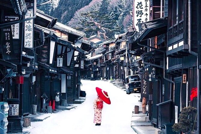 Private Snow Monkeys park Day Trip From Tokyo or Nagano - Private transport from Tokyo or Nagano: why it changes the whole day